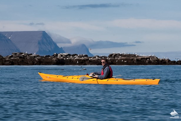 man kayaking in Icelandic Westfjords Sea