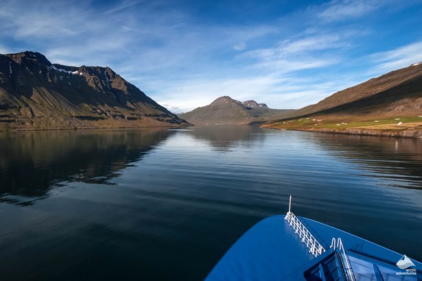 boat tour in the sea of Westfjords