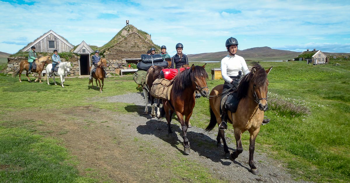 4Day Icelandic Wildlife & Food Tour Arctic Adventures