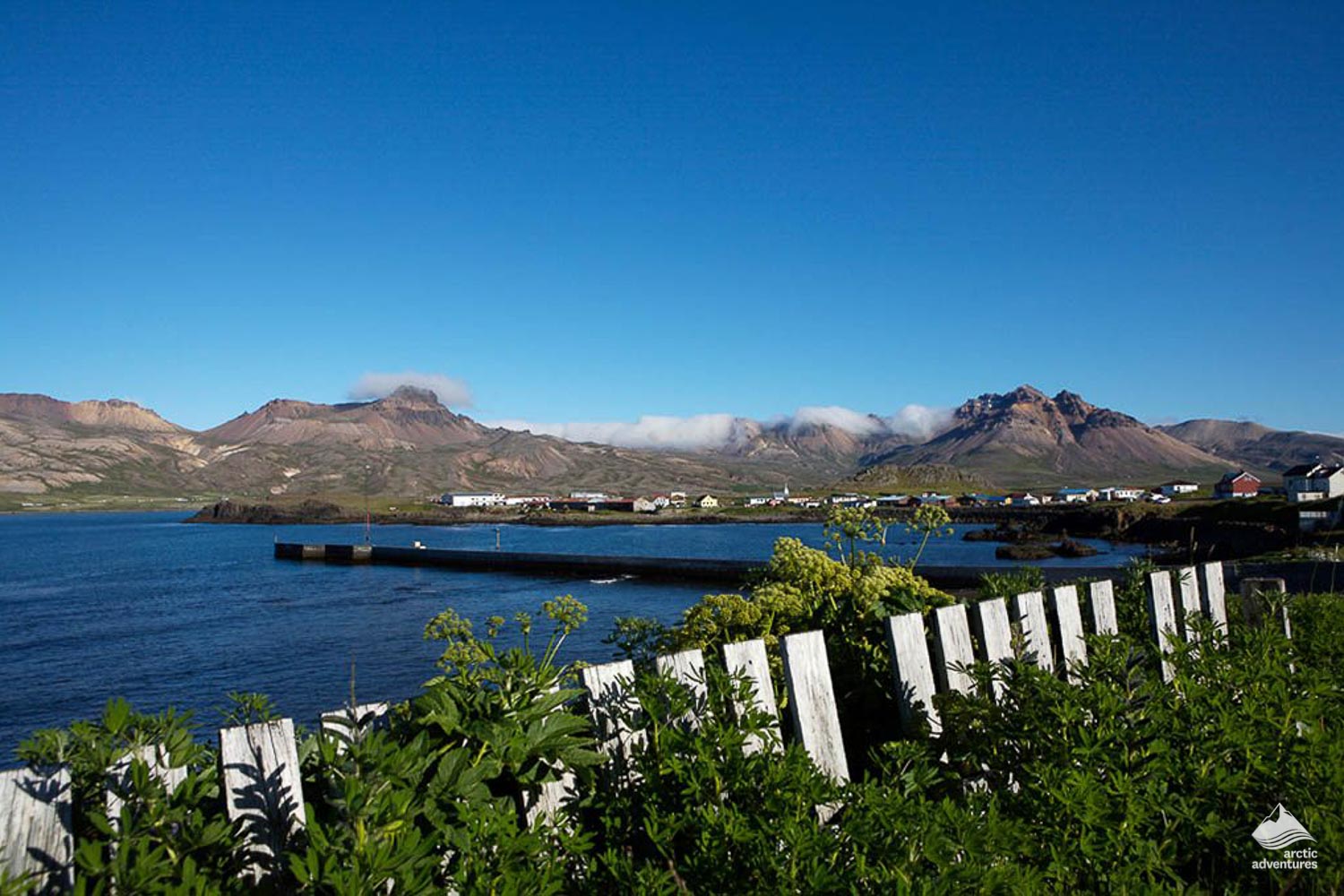 seacost scenery of Borgarfjörður Eystri in Iceland