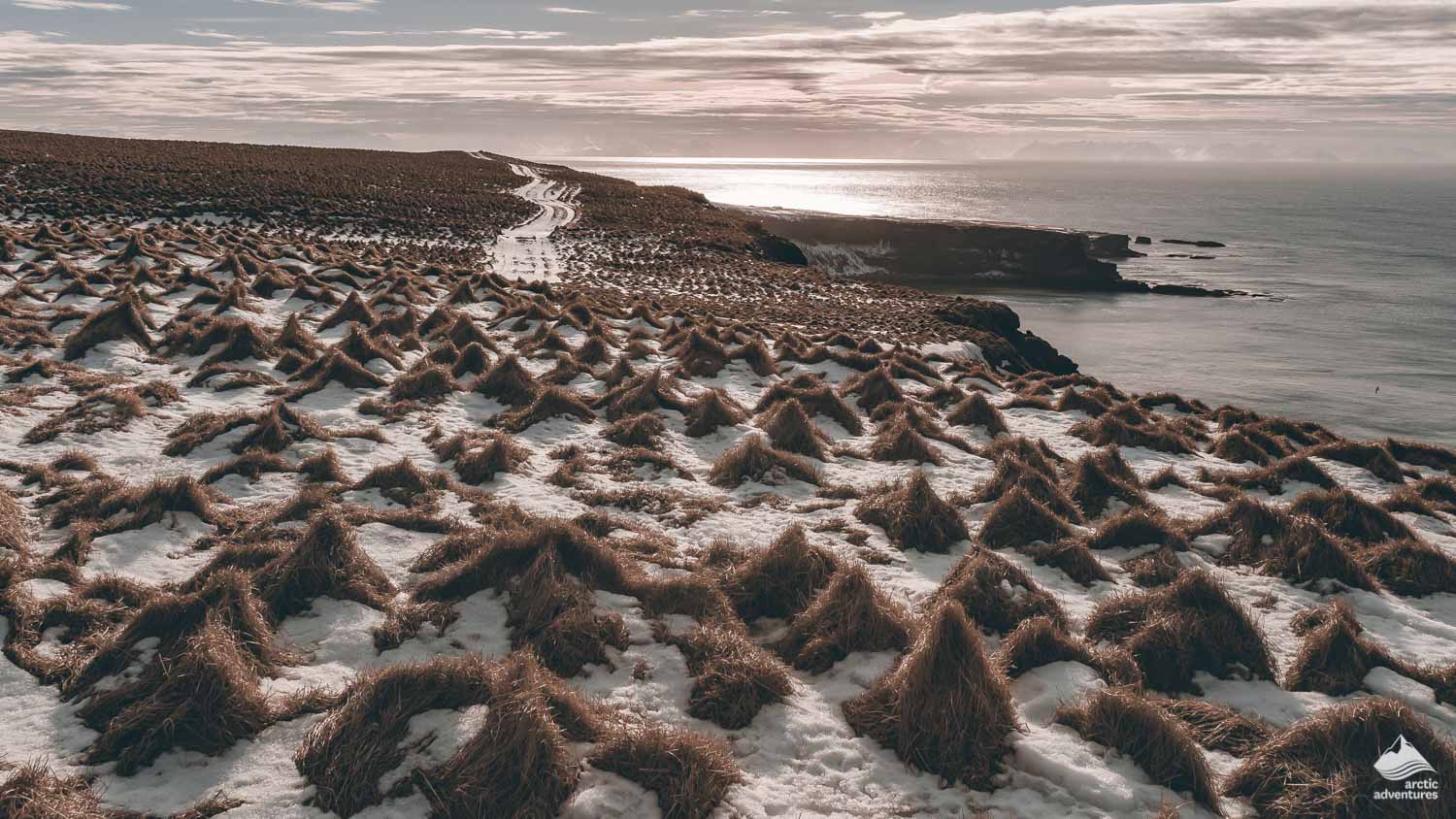 sea shore of Grimsey island on winter