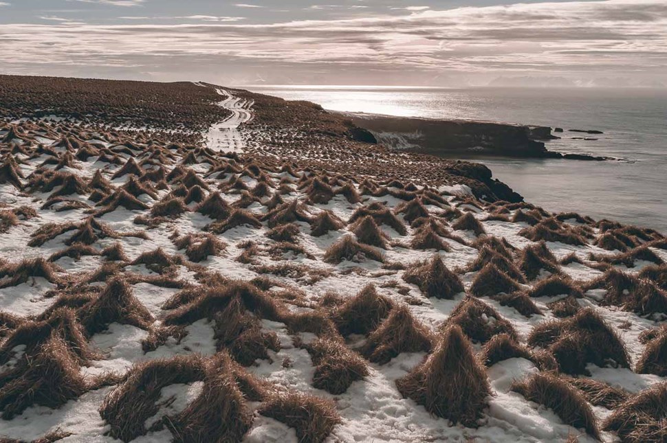 sea shore of Grimsey island on winter