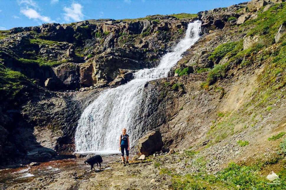 waterfall near Iceland's Wilderness center