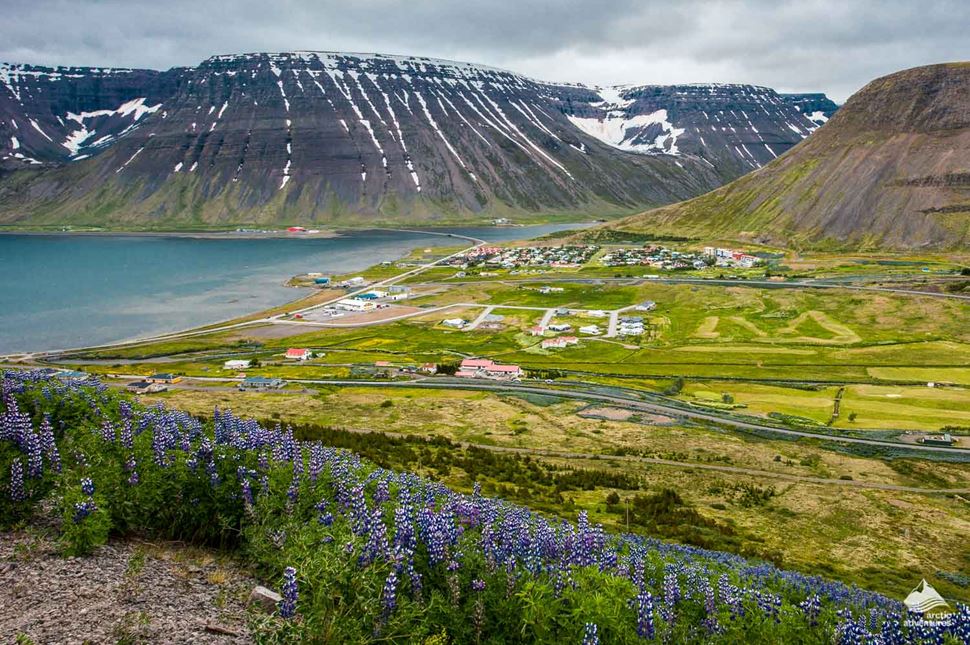 capital of Westfjords in Iceland