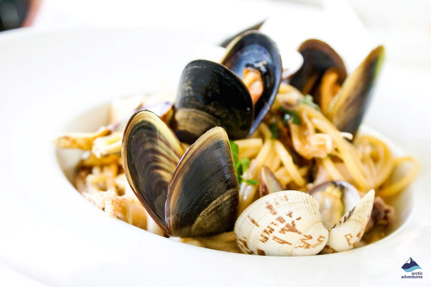 delicious seafood in Iceland