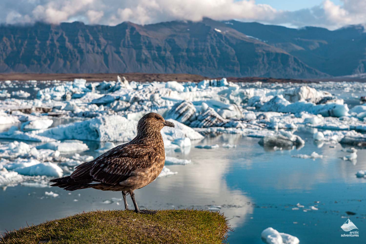 Jokulsarlon Glacier Lagoon in Iceland Arctic Adventures