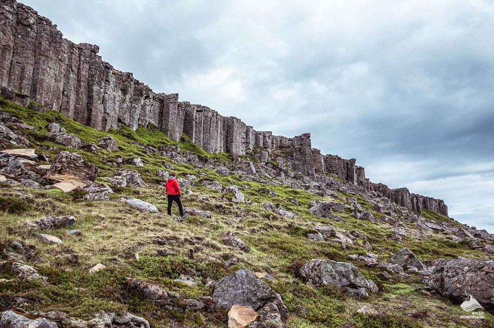 Gerduberg basalt columns in iceland