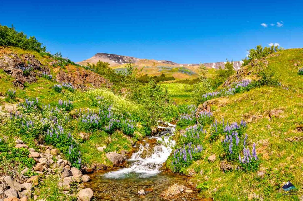 River in Iceland's Mount Esja