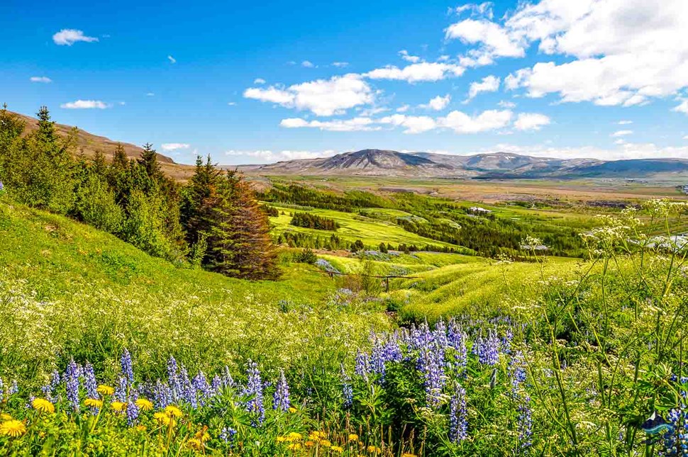 Mount Esja nature in Iceland