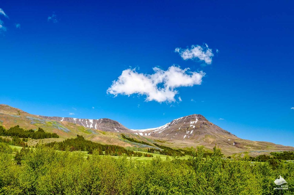 Iceland's Mount Esja in summer
