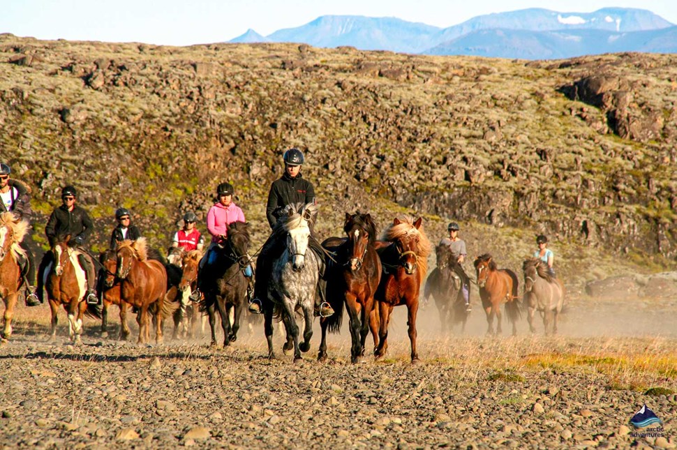 Horseback Riding in Iceland