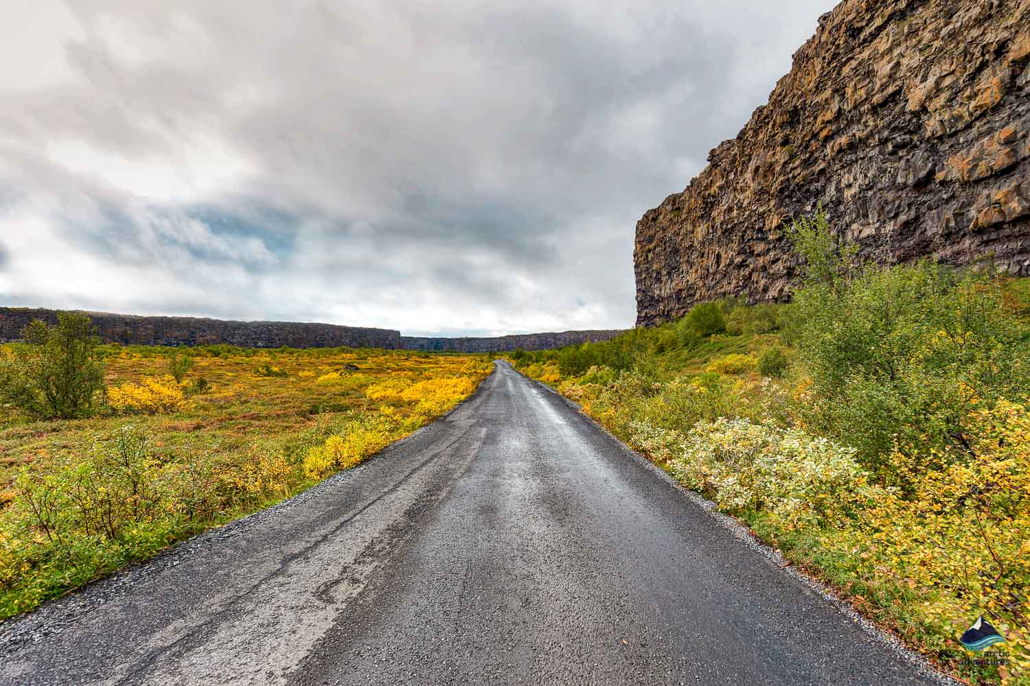 road by Jokulsargljufur national park canyon