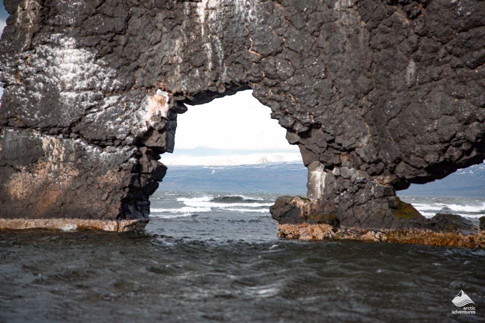 close view of Hvitserkur rock in Iceland