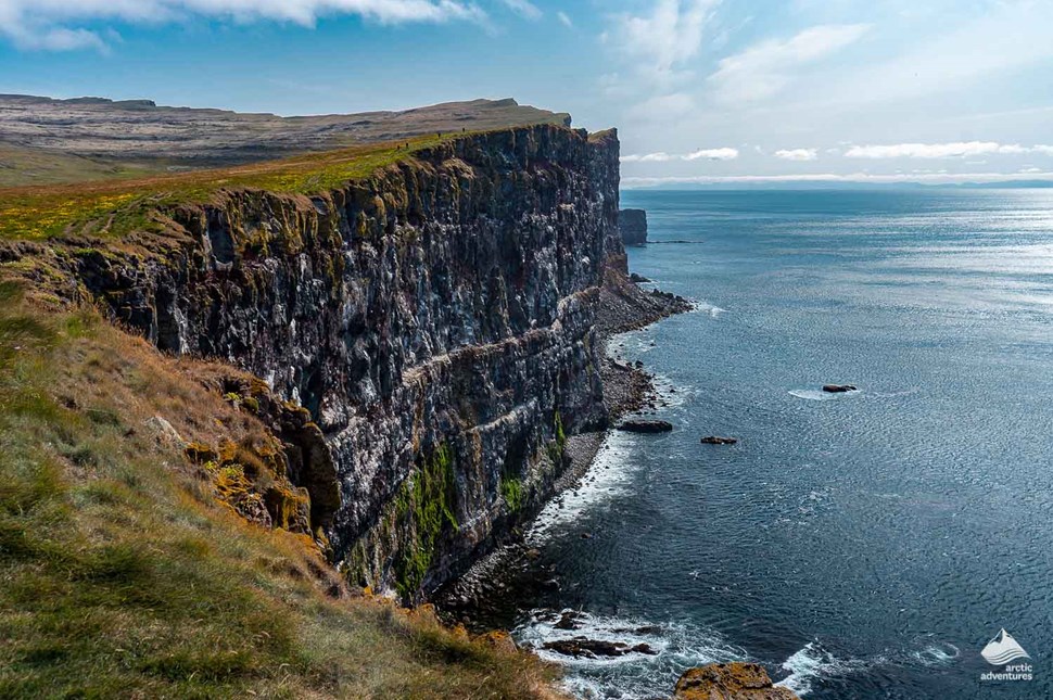 Látrabjarg cliffs in Iceland