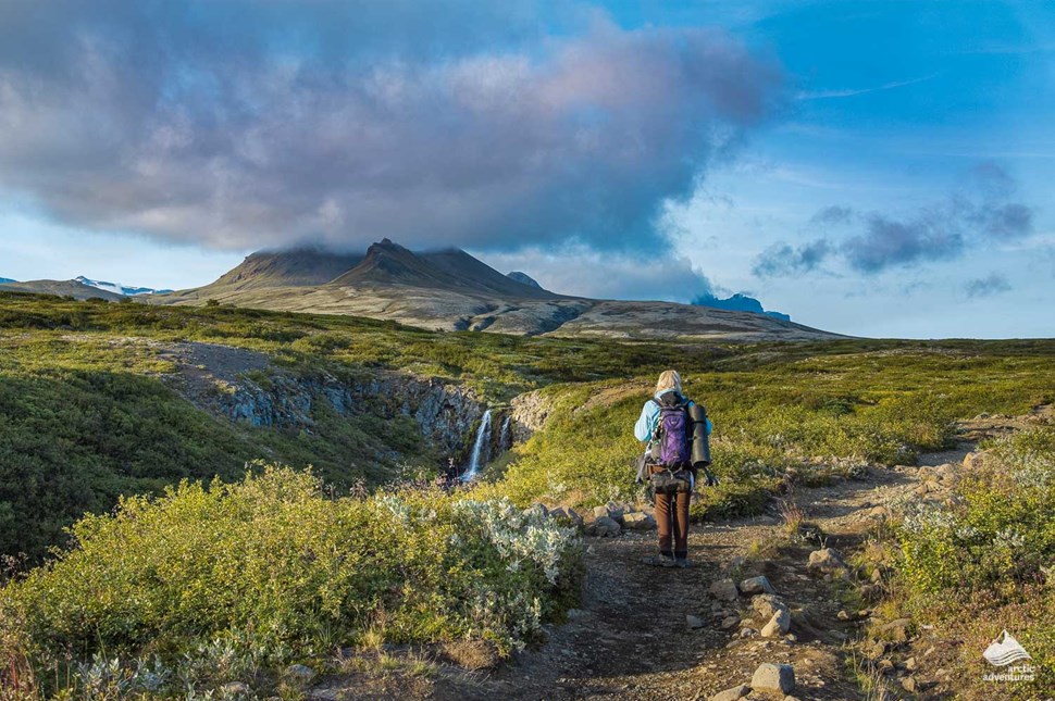 Hiking trail to Svartifoss waterfall in Iceland