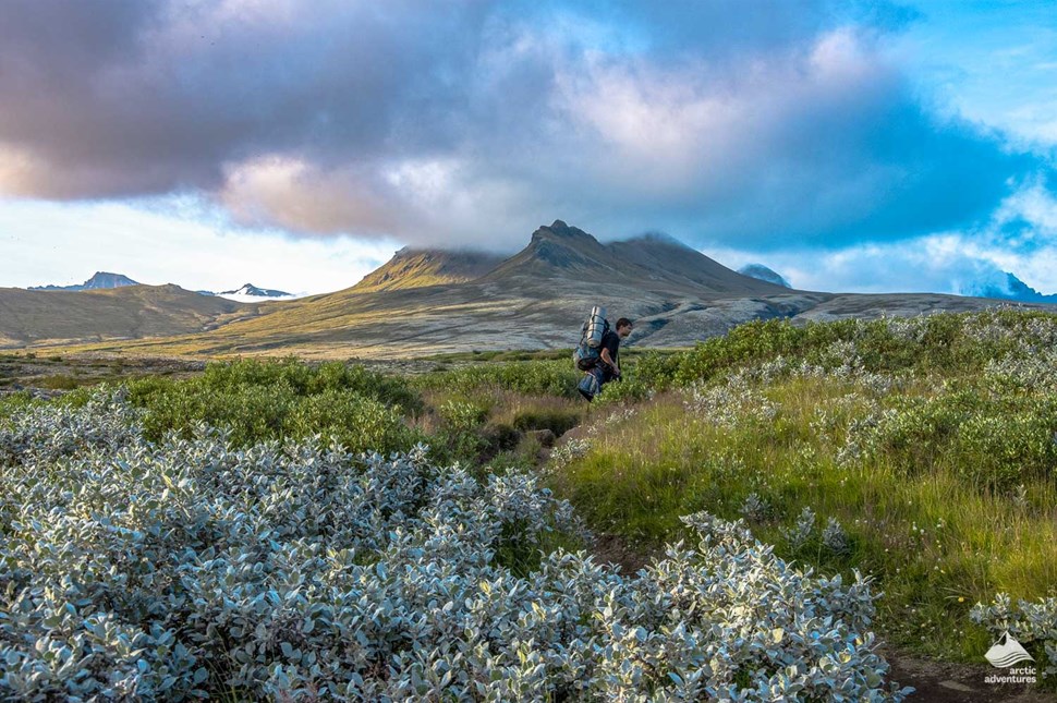 man hiking in Vatnajokull National Park