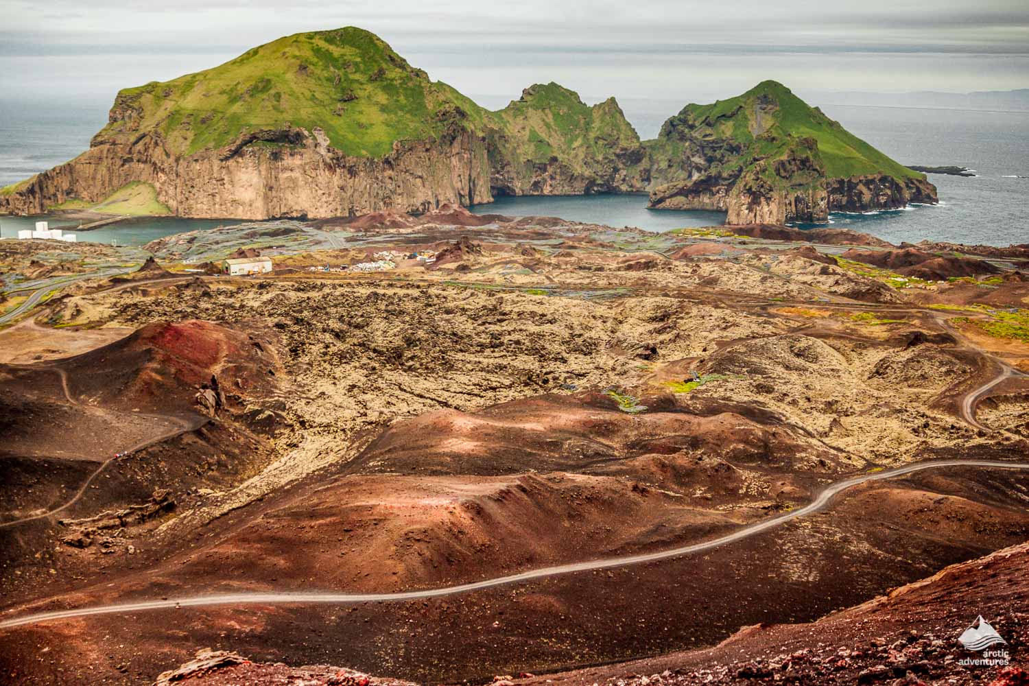 Westman Island Volcanoes Puffins Tour Arctic Adventures Westman Island Volcanoes Puffins Tour Arctic Adventures