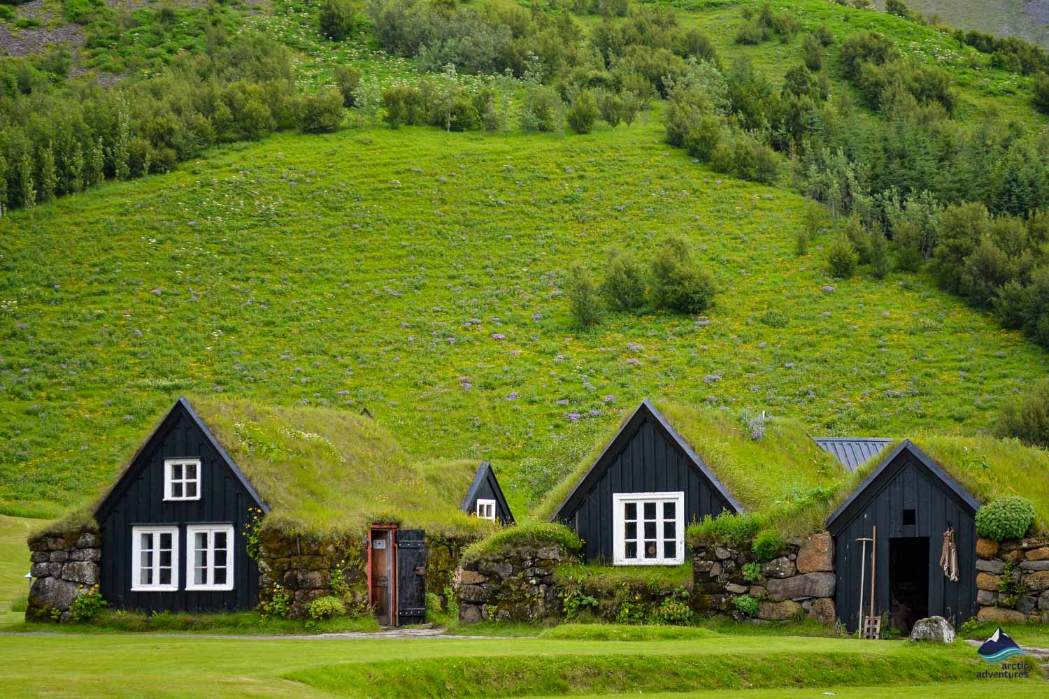 Turf Houses in Iceland Arctic Adventures