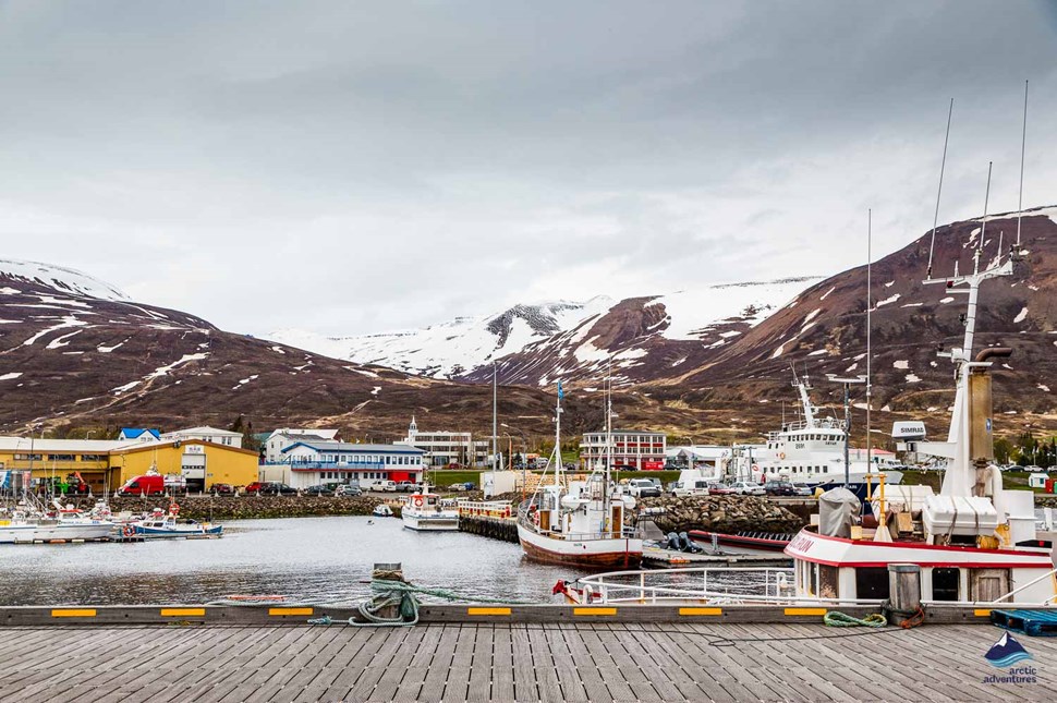 sea port in Dalvik city of Iceland