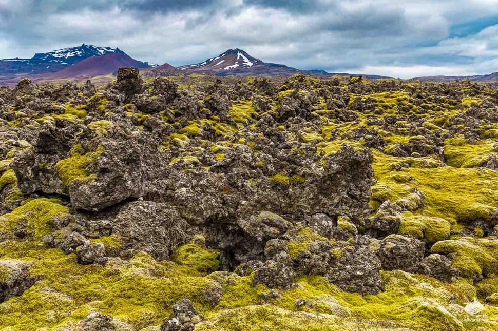 Berserkjahraun Lava Field in Iceland