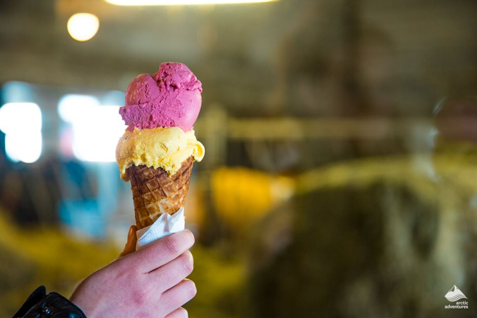 vegan ice cream iceland