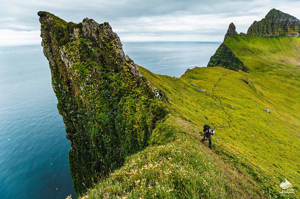 Hornstrandir cliff in Iceland