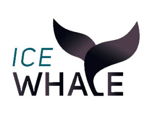 Icewhale logo