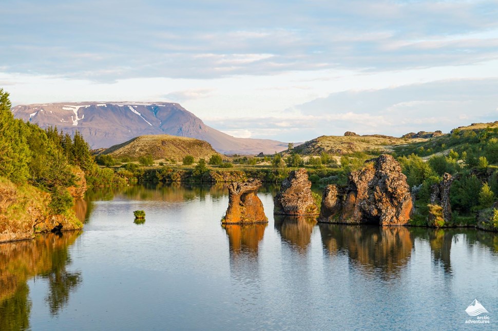 Lava rock formation at lake Myvatn in Iceland