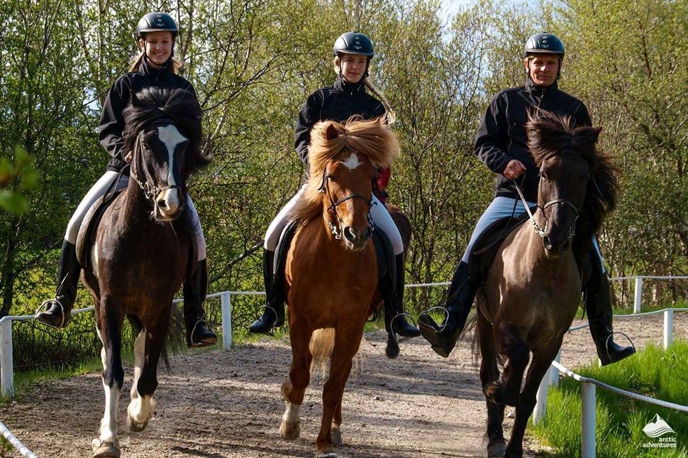 Horse riding at Fridheimar in Iceland