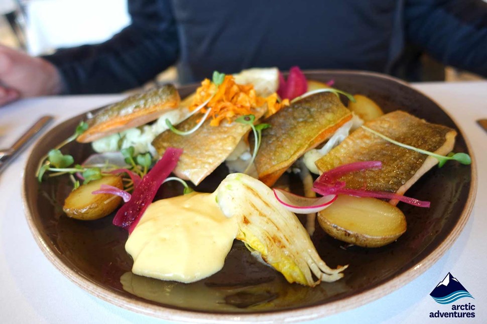 Plate of Icelandic Cuisine Fish dish