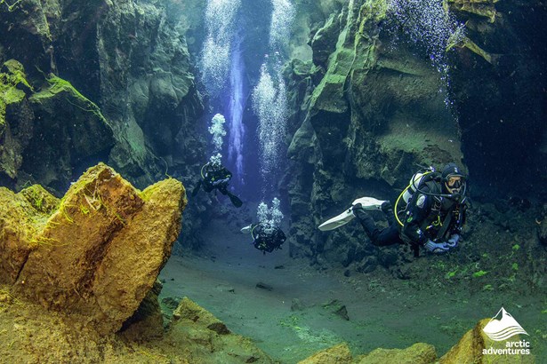 group of divers swimming at the bottom of ocean