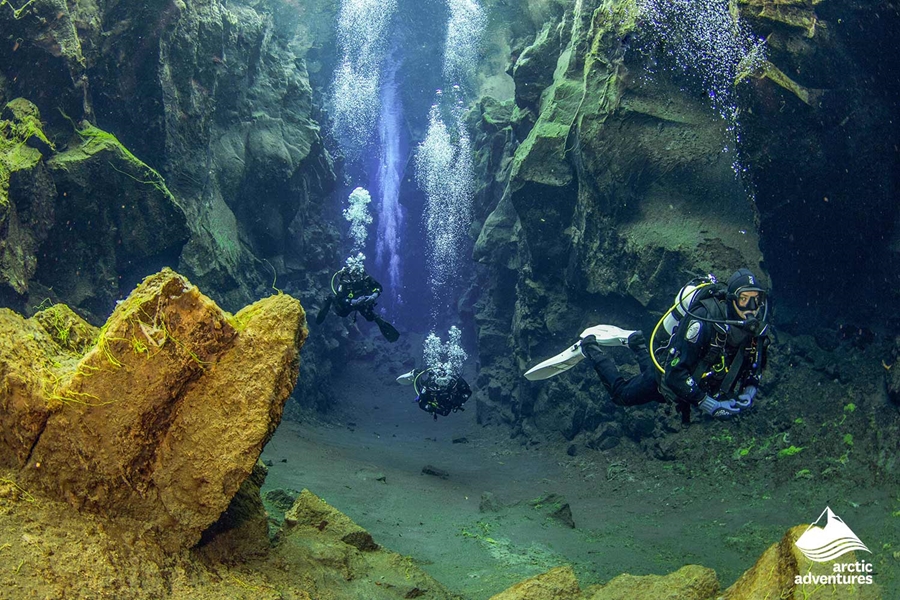 group of divers swimming at the bottom