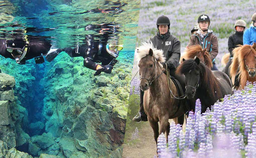 Horse Riding & Snorkeling Tour