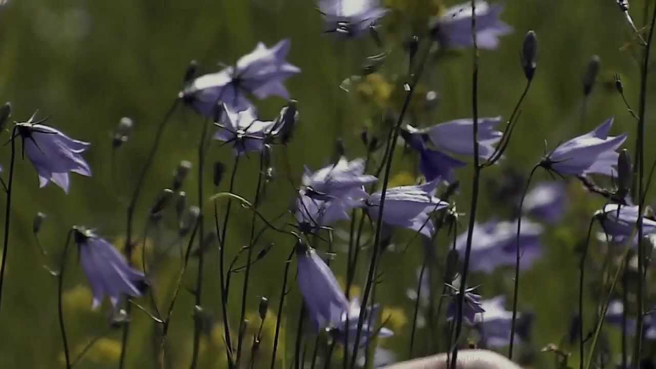 Welcome to Egilsstaðir