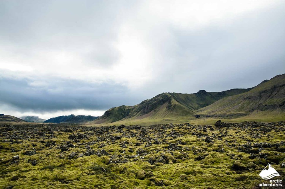 Mossy Berserkjahraun Lava Field in Iceland