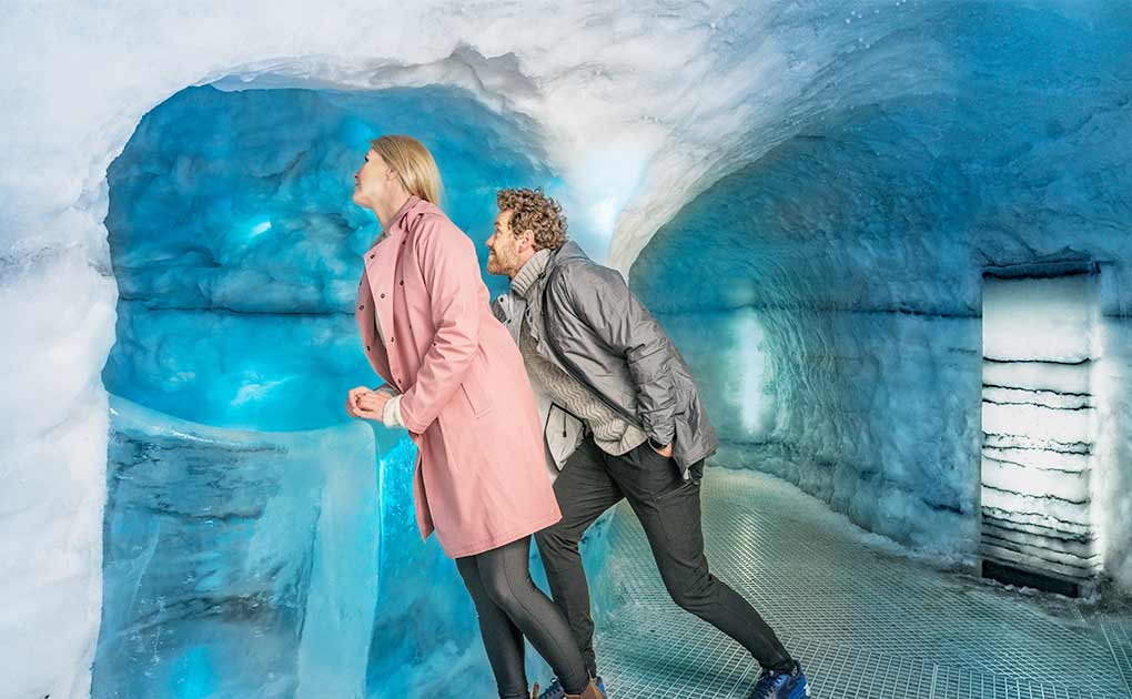 Admission to Perlan Museum