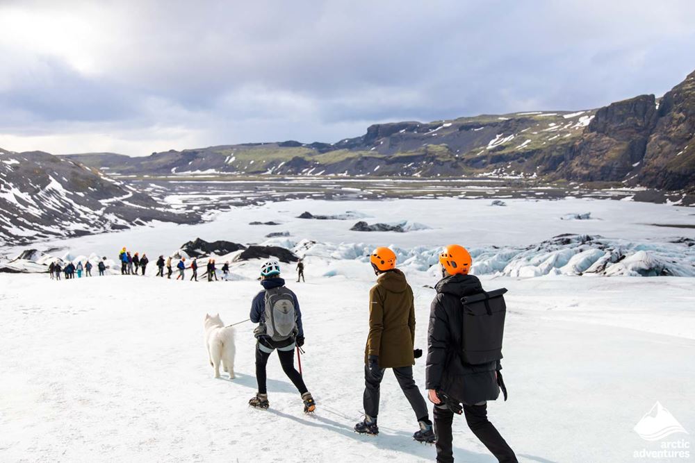 Small group and dog on glacier
