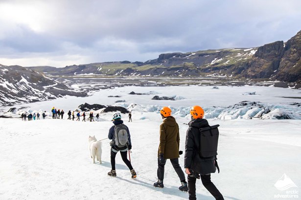 Small group and dog walking on glacier