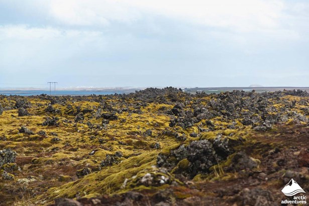 Lava Field at Snaefellsnes Peninsula in Iceland