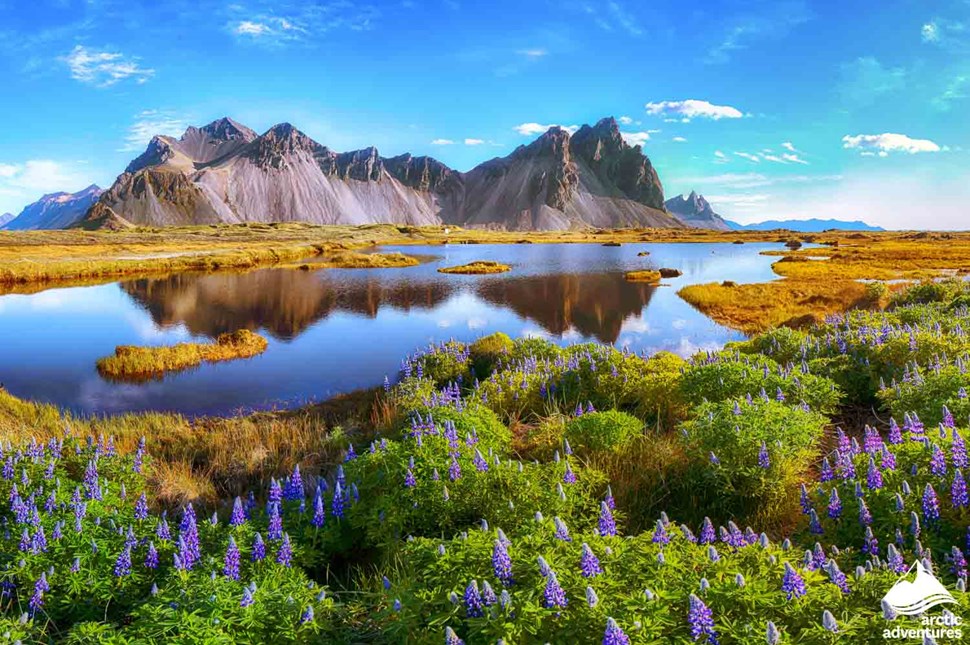 Panoramic View of Stokksnes Cape in the Summer