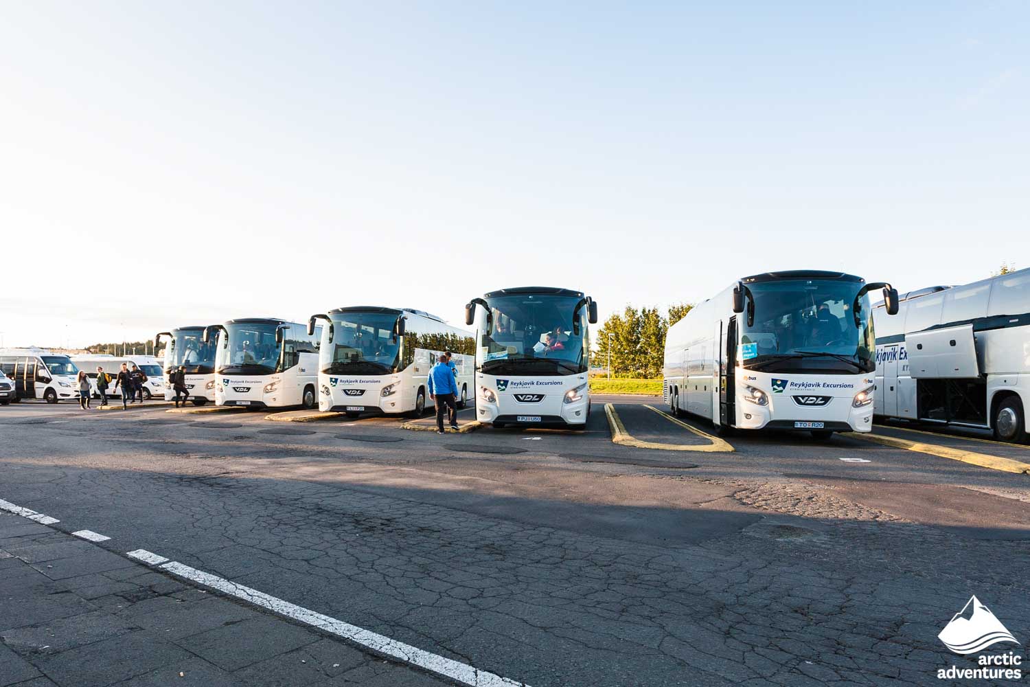 Parking Lot Full of Buses in Iceland