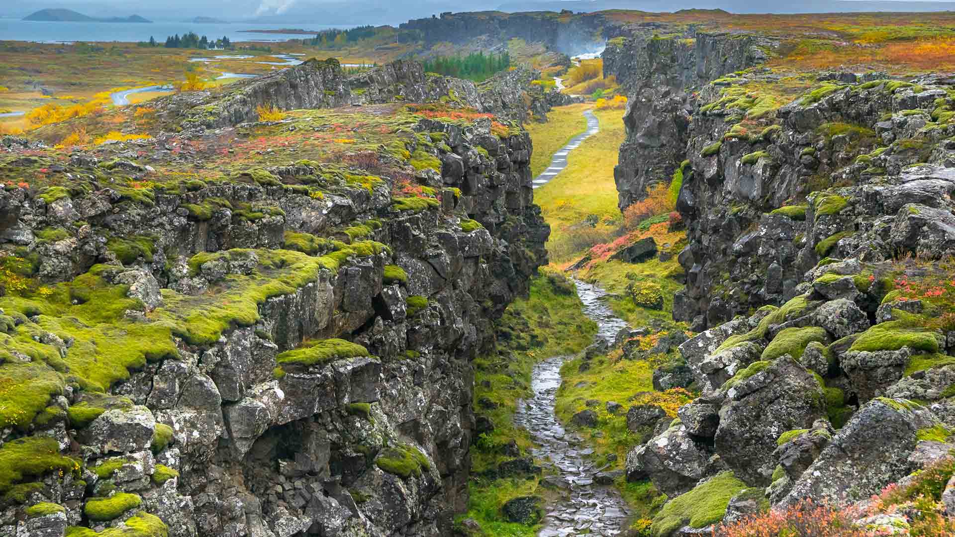 Down To Earth With Zac Efron | Tectonic Plates Clip | Netflix