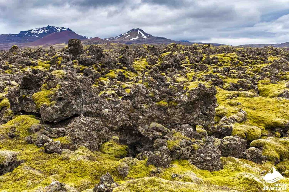 Lava Formations in Iceland