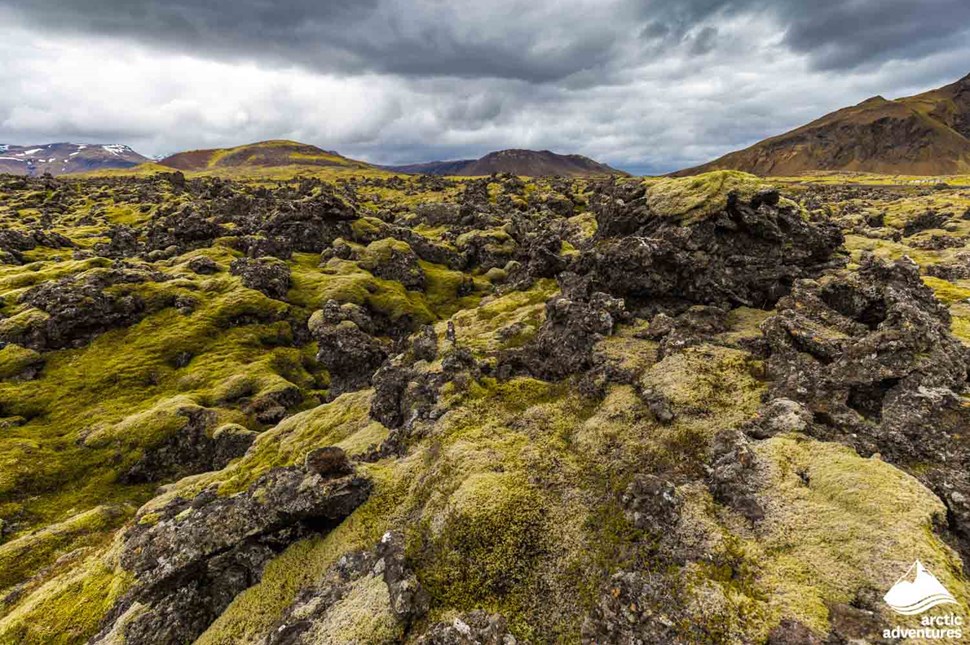 Mossy Lava Formations in Iceland