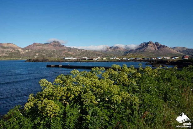 Panoramic View of Fjord in East Iceland 