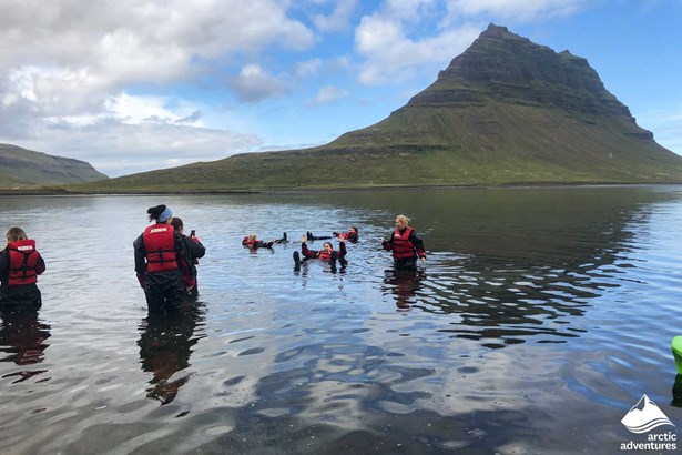 Group Swimming near Kirkjufell Mountain in Snaefellsnes