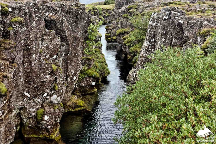 Fissure in Thingvellir National Park