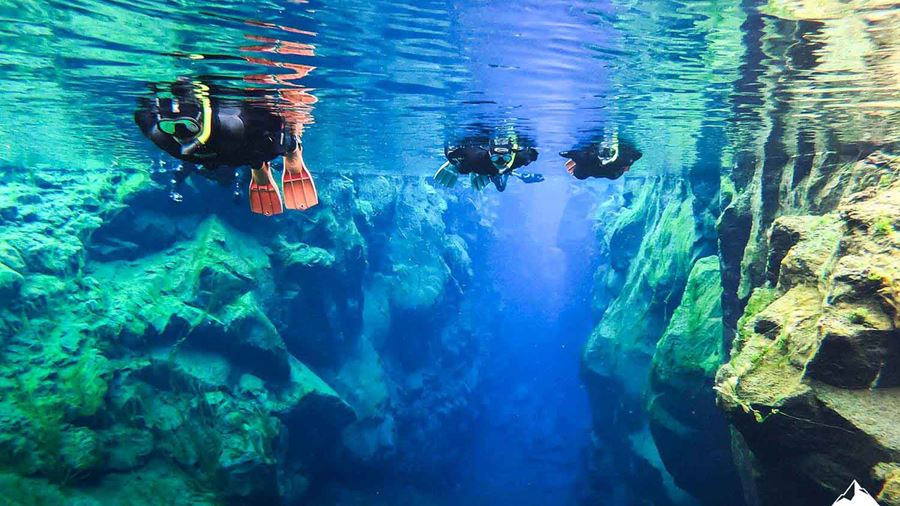 Underwater View of Snorkelers