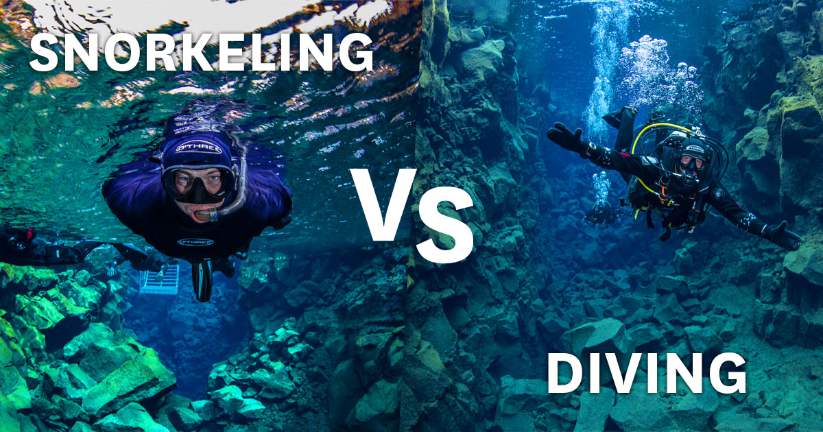 trompeta recursos humanos Península Snorkeling vs. Scuba Diving | All About Iceland
