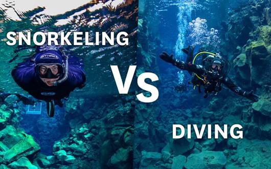 Snorkeling vs. Scuba Diving: What’s the Difference?